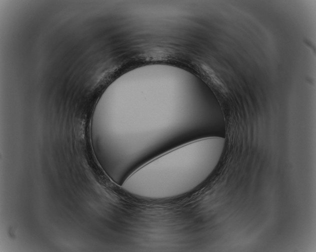 X0000093620543200710151042