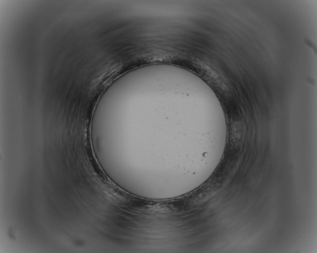 X0000093620545200710151042