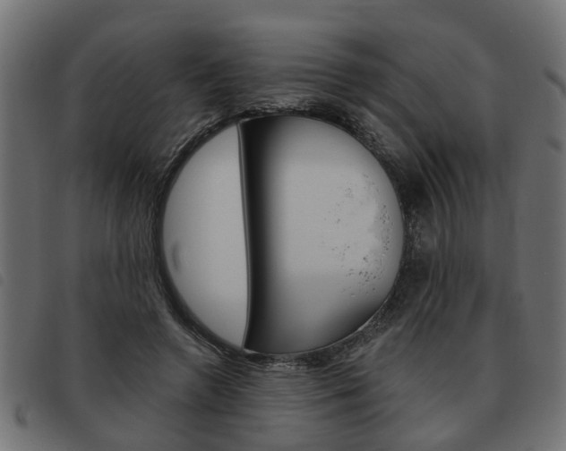 X0000093620546200710151042