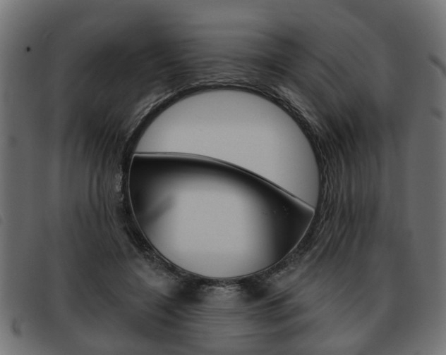 X0000093620548200710151042