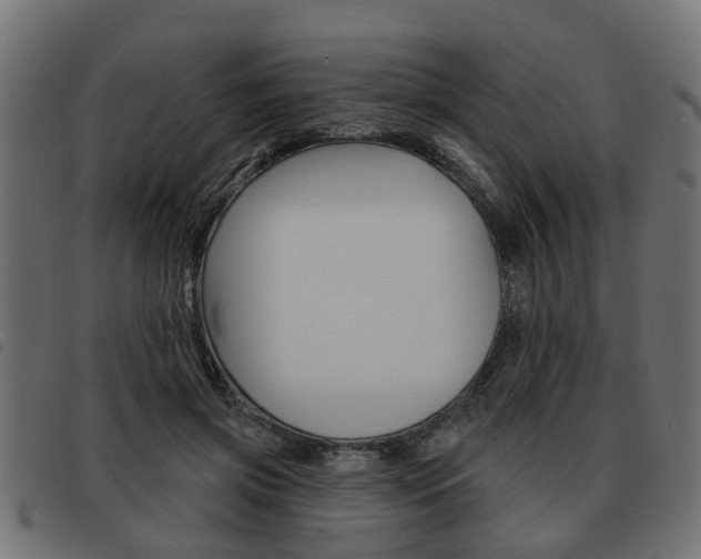 X0000093620549200710151042