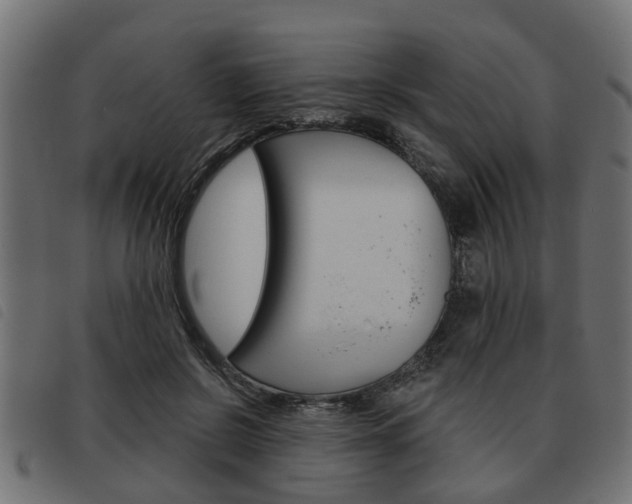 X0000093620550200710151042