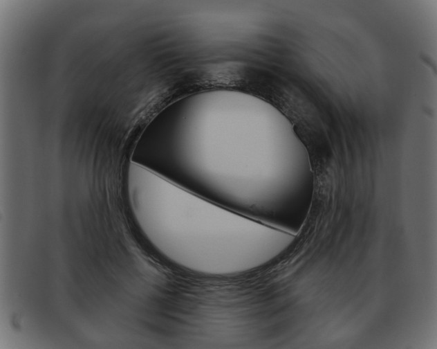 X0000093620552200710151042