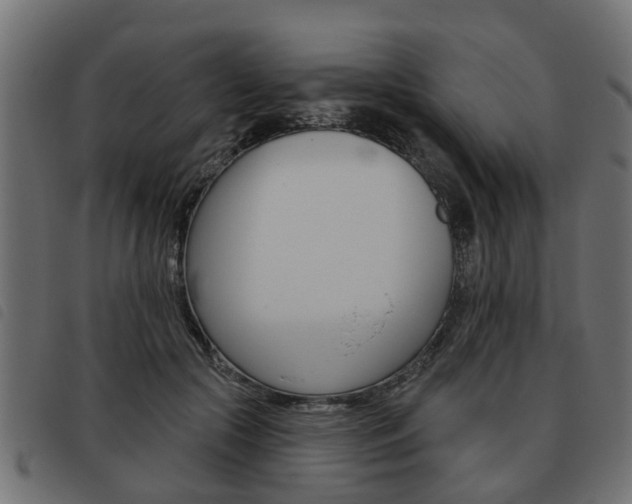X0000093620553200710151042