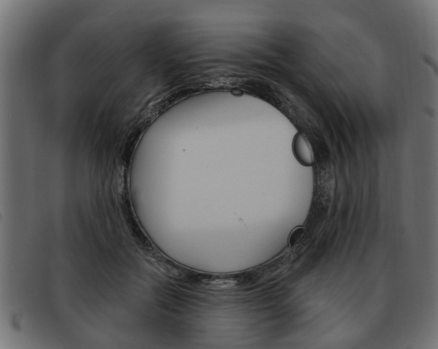 X0000093620554200710151042