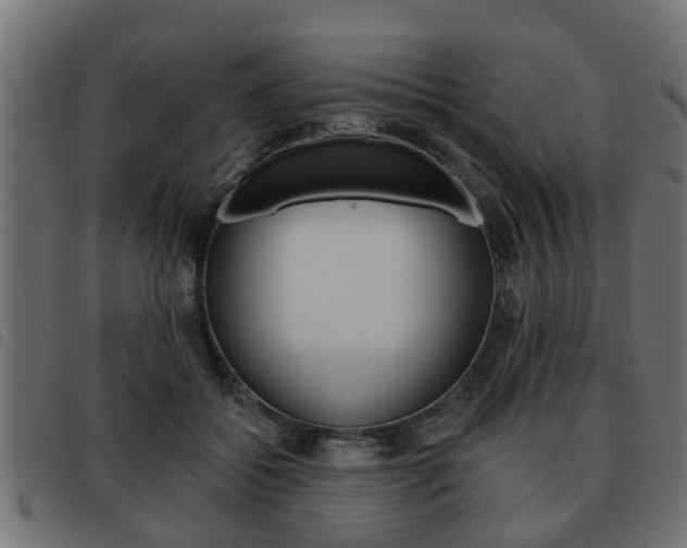 X0000093620556200710151042