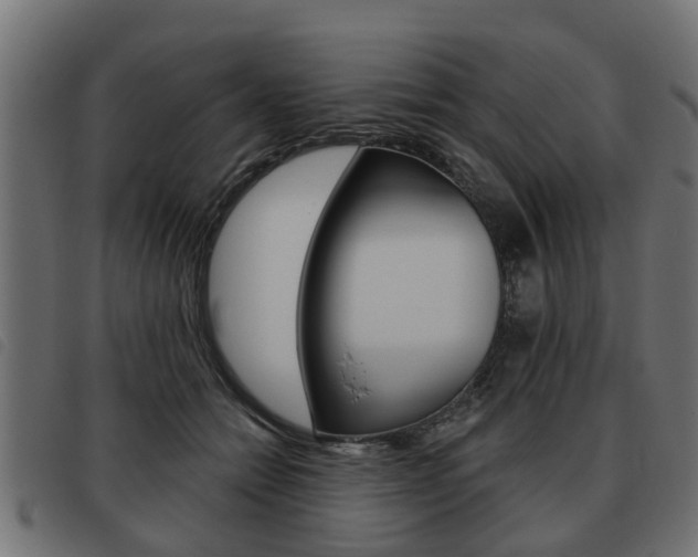 X0000093620558200710151042