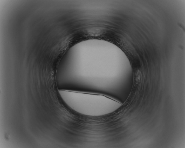 X0000093620559200710151042