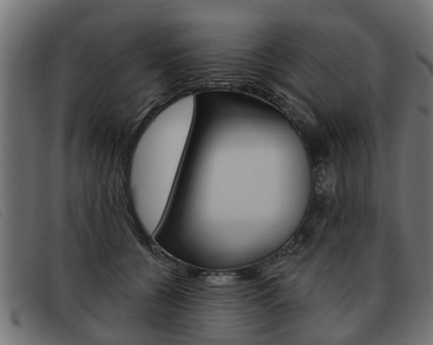 X0000093620560200710151042