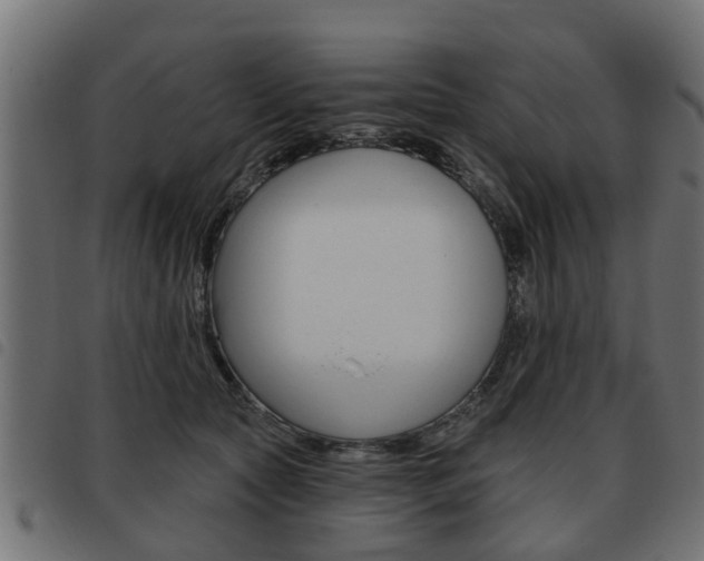 X0000093620561200710151042