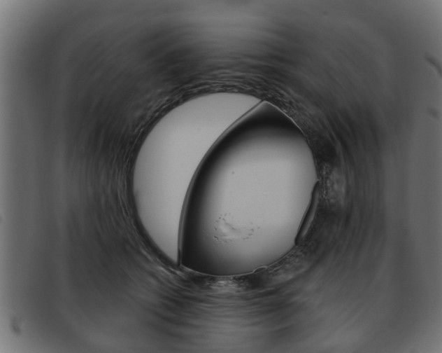 X0000093620562200710151042