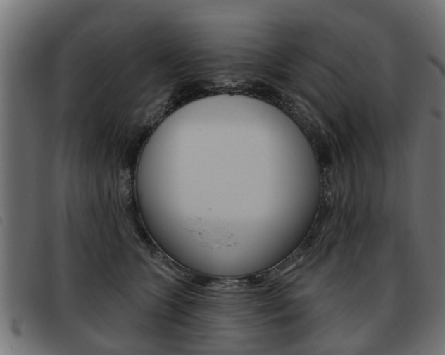 X0000093620563200710151042