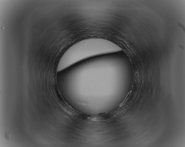 X0000093620564200710151042