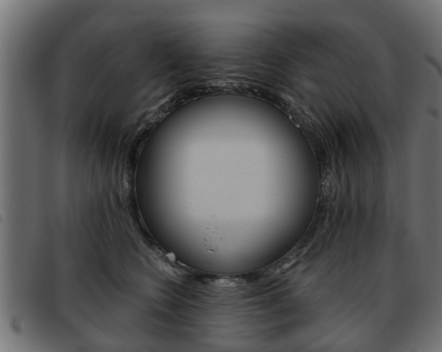 X0000093620566200710151042