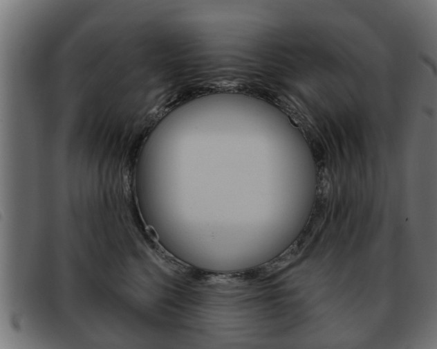 X0000093620568200710151042