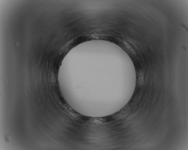 X0000093620569200710151042