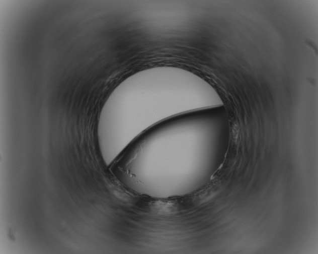 X0000093620570200710151042