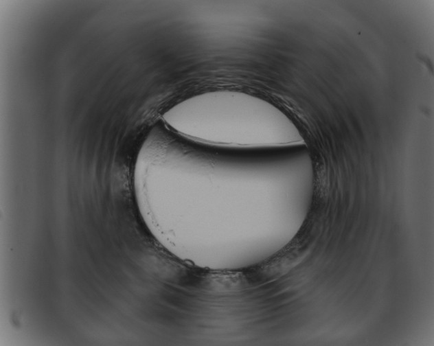 X0000093620571200710151042