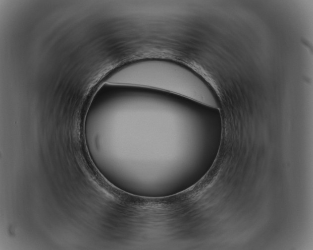X0000093620581200710151042