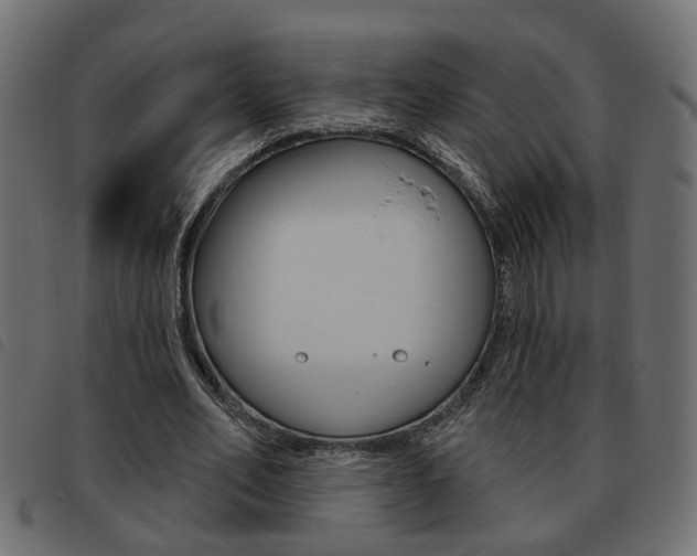 X0000093620582200710151042