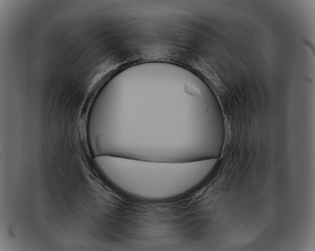X0000093620583200710151042