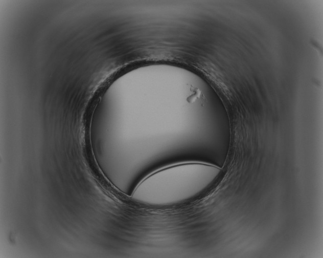 X0000093620584200710151042