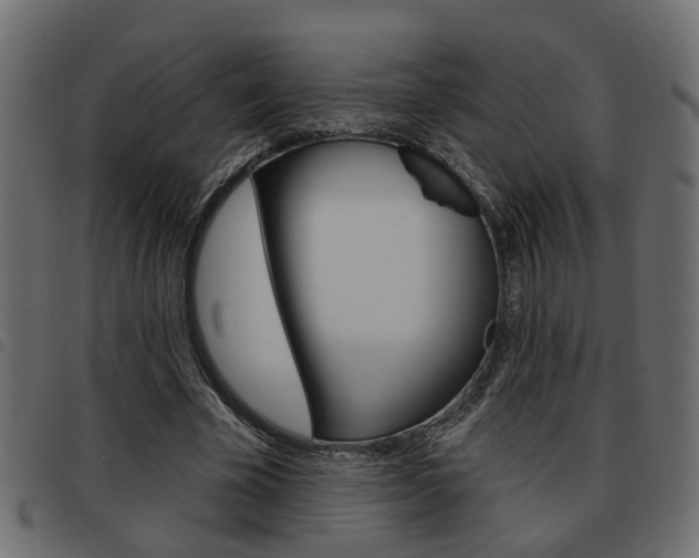 X0000093620585200710151042