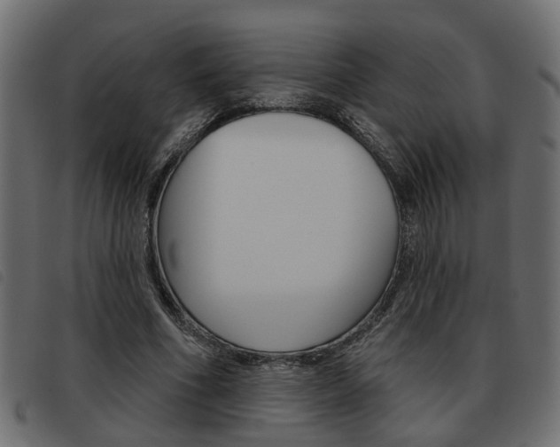 X0000093620586200710151042