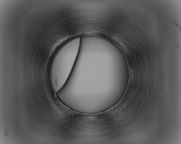 X0000093620587200710151042