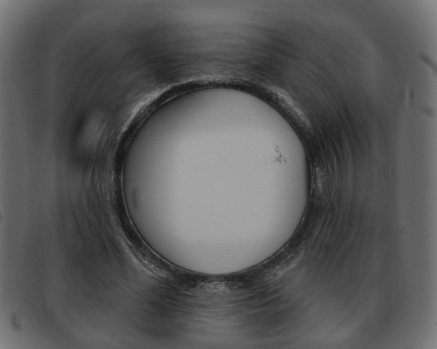 X0000093620588200710151042