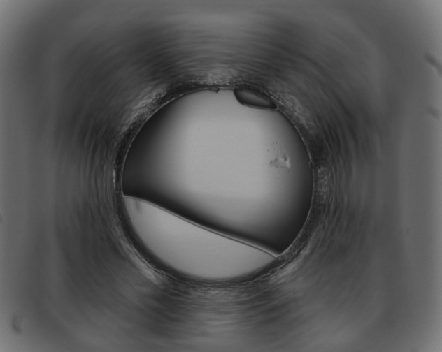X0000093620589200710151042