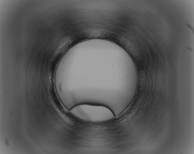 X0000093620590200710151042