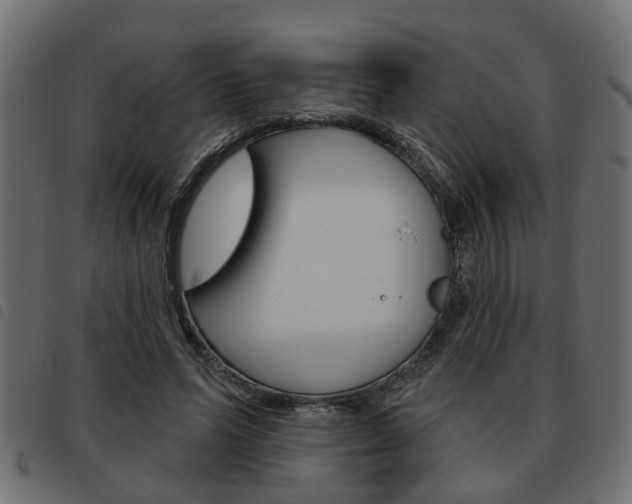 X0000093620591200710151042