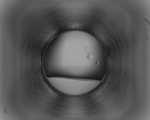 X0000093620593200710151042