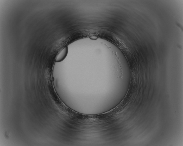 X0000093620594200710151042