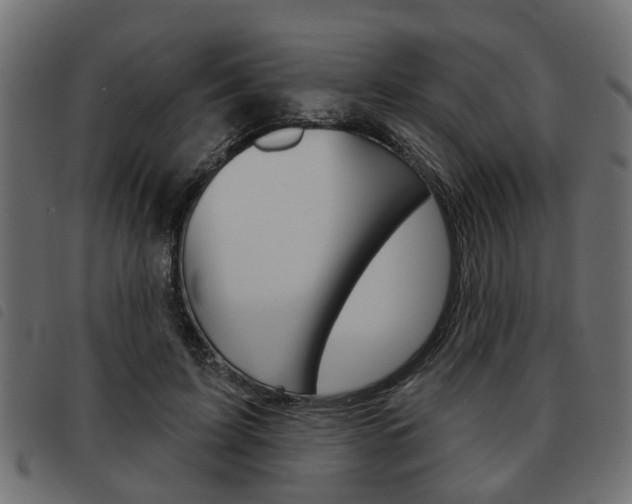 X0000093620595200710151042
