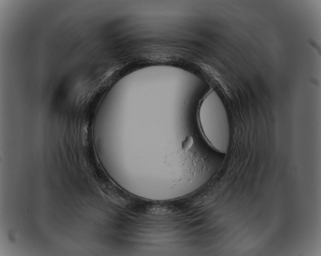 X0000093620596200710151042