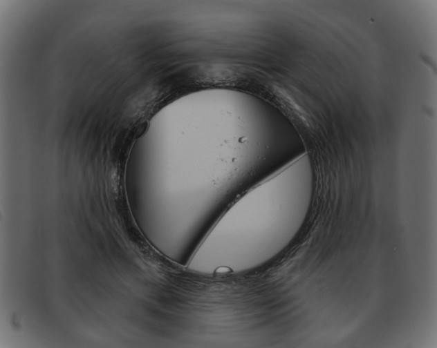 X0000093620597200710151042