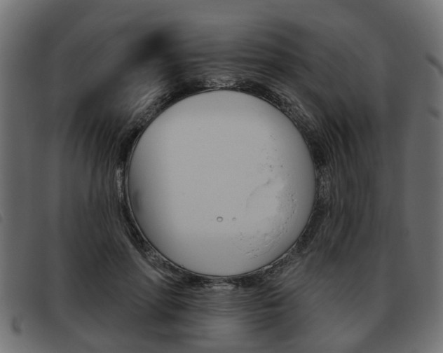 X0000093620598200710151042