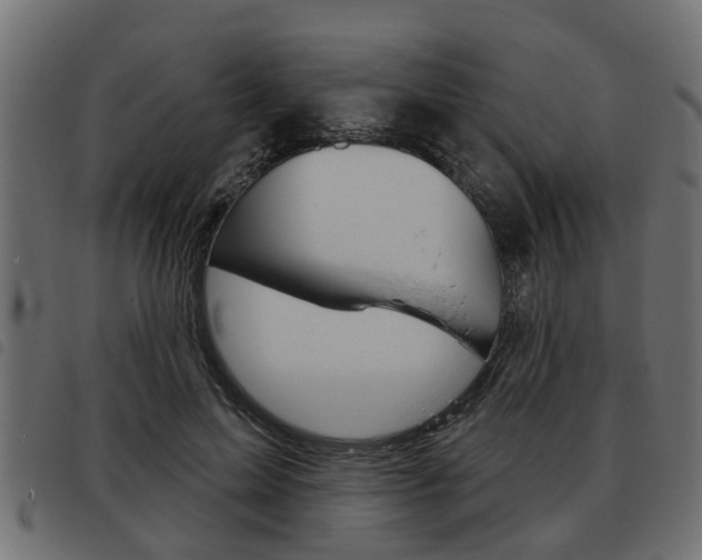 X0000093620599200710151042