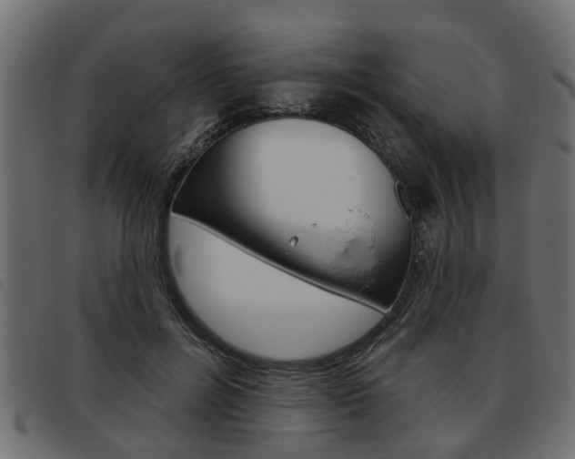 X0000093620600200710151042