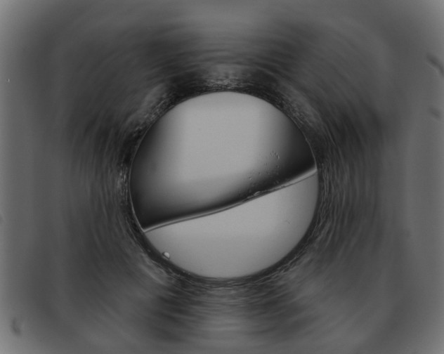 X0000093620601200710151042
