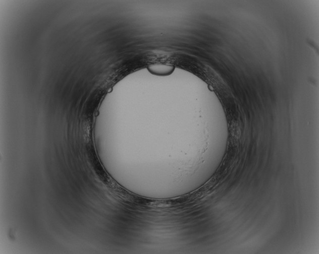 X0000093620602200710151042