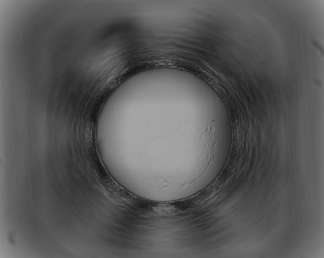 X0000093620603200710151042