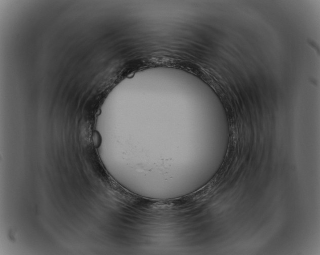 X0000093620606200710151042