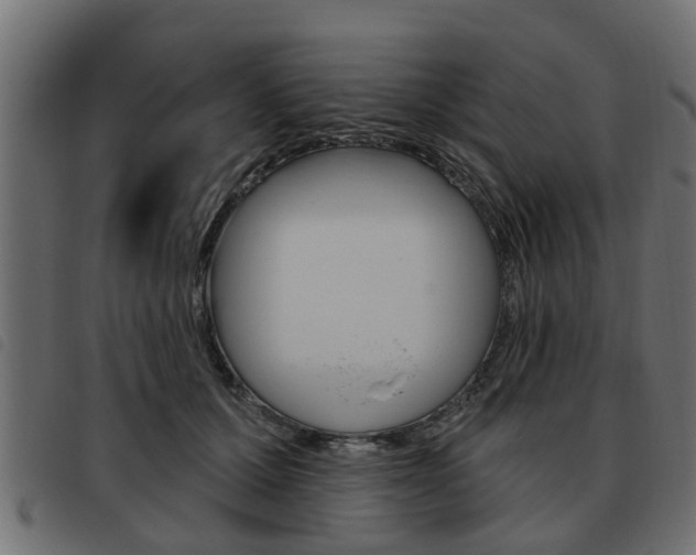 X0000093620607200710151042