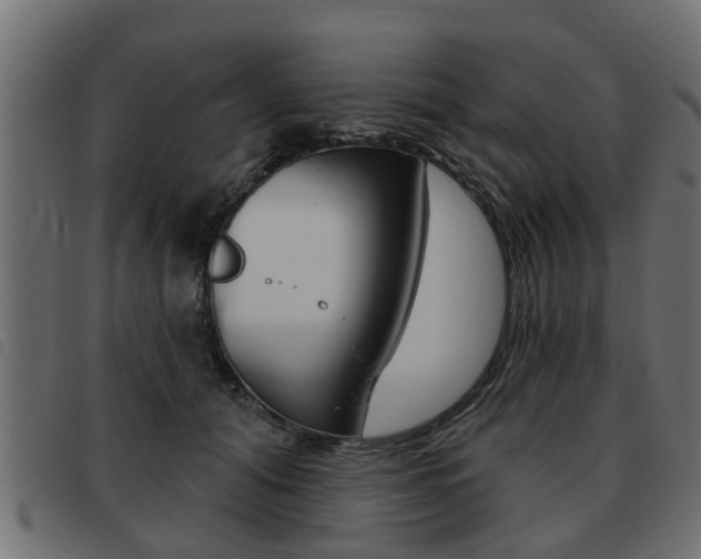 X0000093620608200710151042