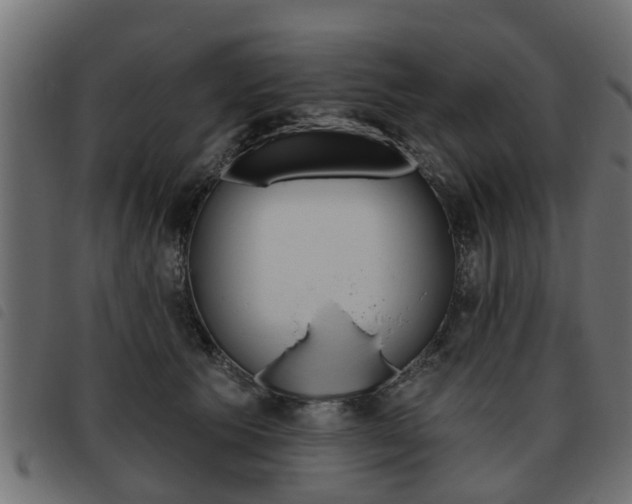 X0000093620609200710151042