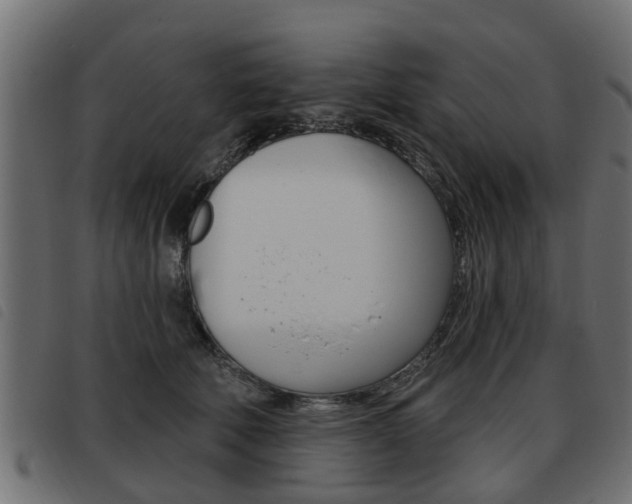 X0000093620610200710151042