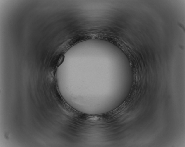 X0000093620611200710151042